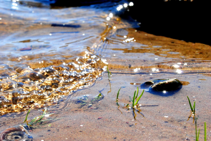 Фотоконкурс