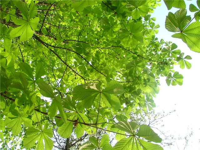 Фотоконкурс