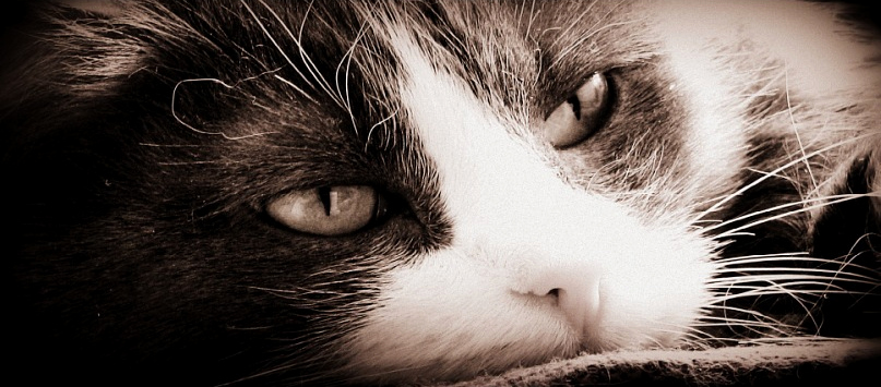 Фотоконкурс