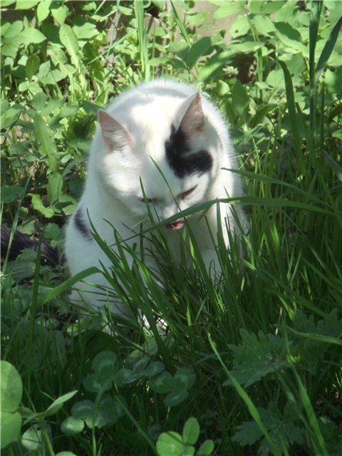 Фотоконкурс