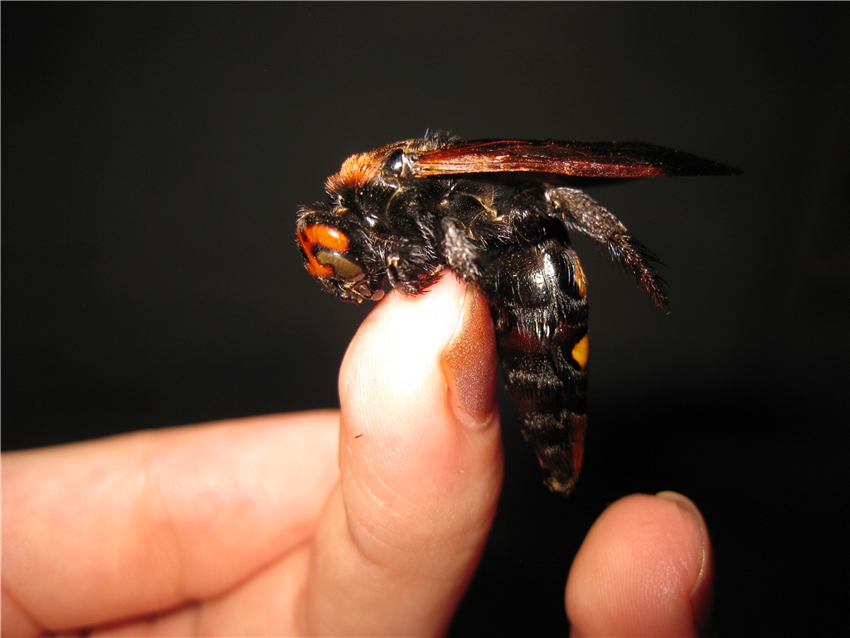 Творческий Турнир Наруто - Прикоснуться к страху