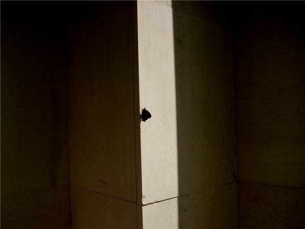 Ах, лето красное!