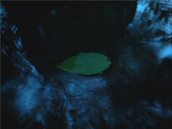 Ах, лето красное!