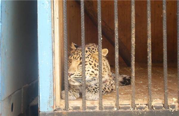 Ах, лето красное!