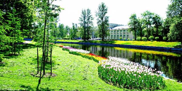 Ах, лето красное!