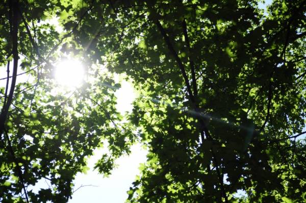 Ах, лето красное!