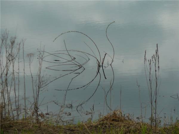 Ах, лето красное!