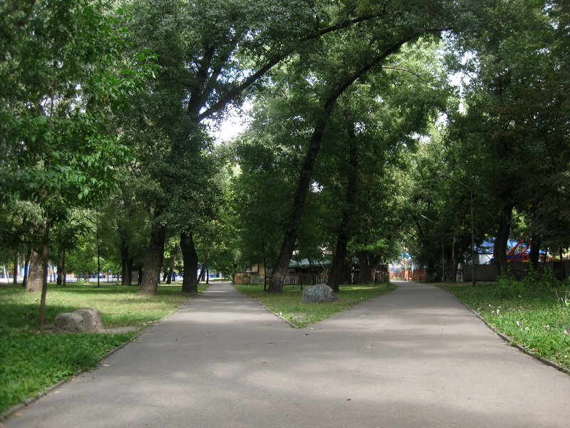 Прощение чёрного белым