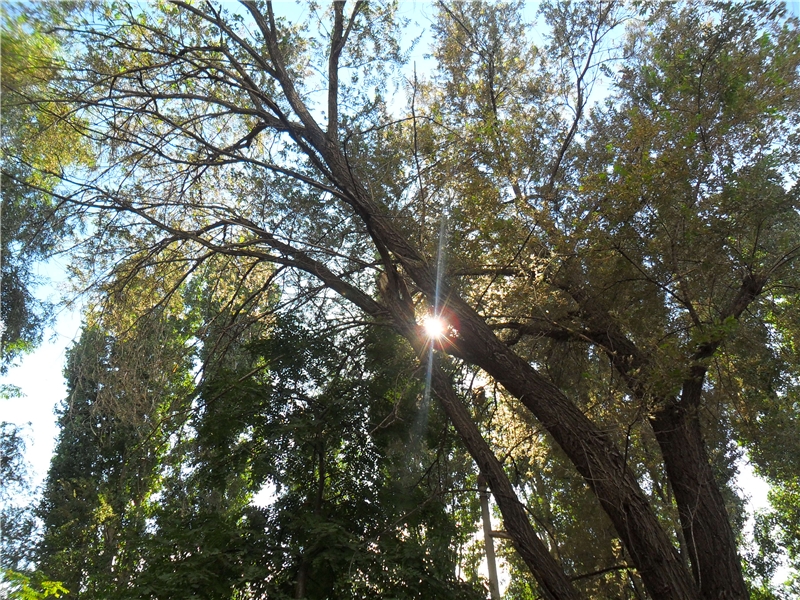 Три месяца счастья